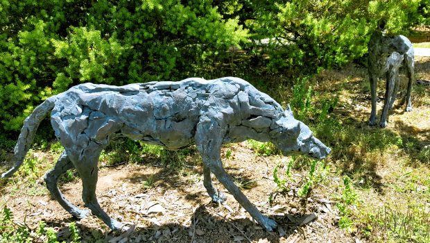 Picture of wolf sculpture