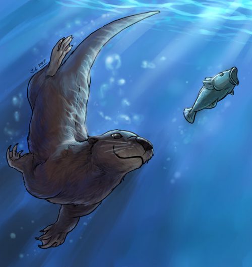 Drawing of smiling otter chasing a fish through the water. The fish is definitely not smiling back.