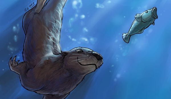 Drawing of smiling otter chasing a fish through the water. The fish is definitely not smiling back.