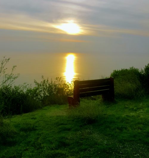 Picture of bench overlooking ocean sunset