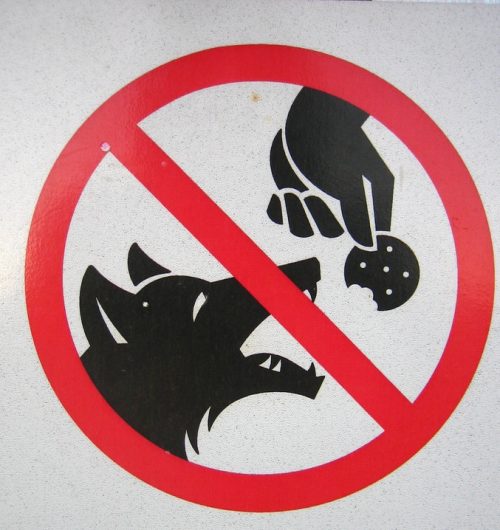 Picture of "Do Not Feed Coyotes" sign