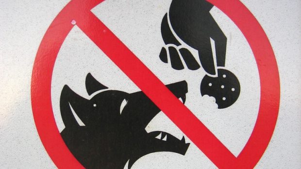Picture of "Do Not Feed Coyotes" sign