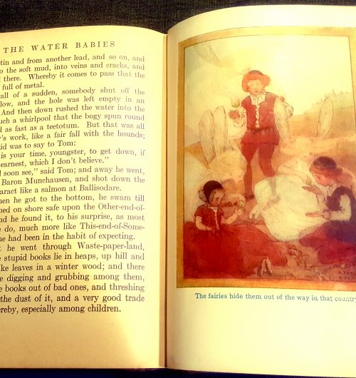 Image from the book "The Waterbabies"