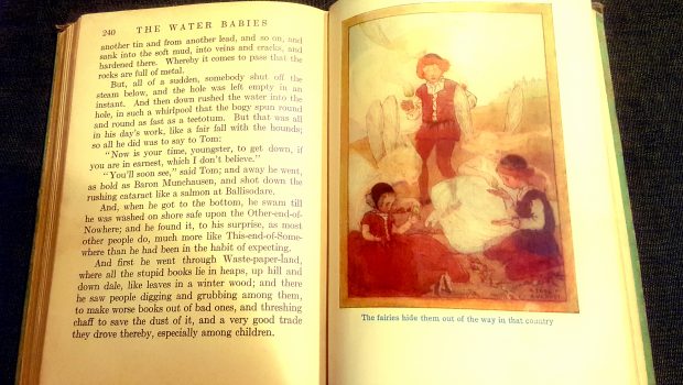 Image from the book "The Waterbabies"